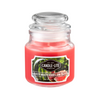 1 of Juicy Watermelon Slice 3oz Jar Candle product images